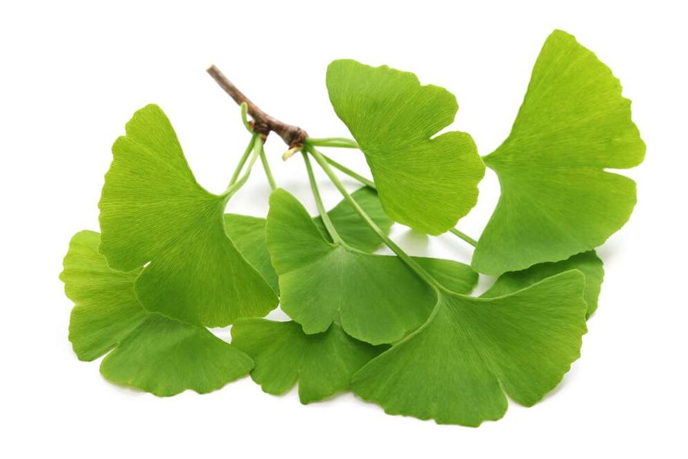 Gingko biloba Kapseln Glucoren